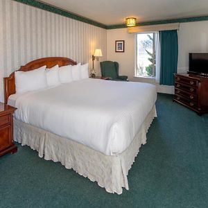 King Room No Pets